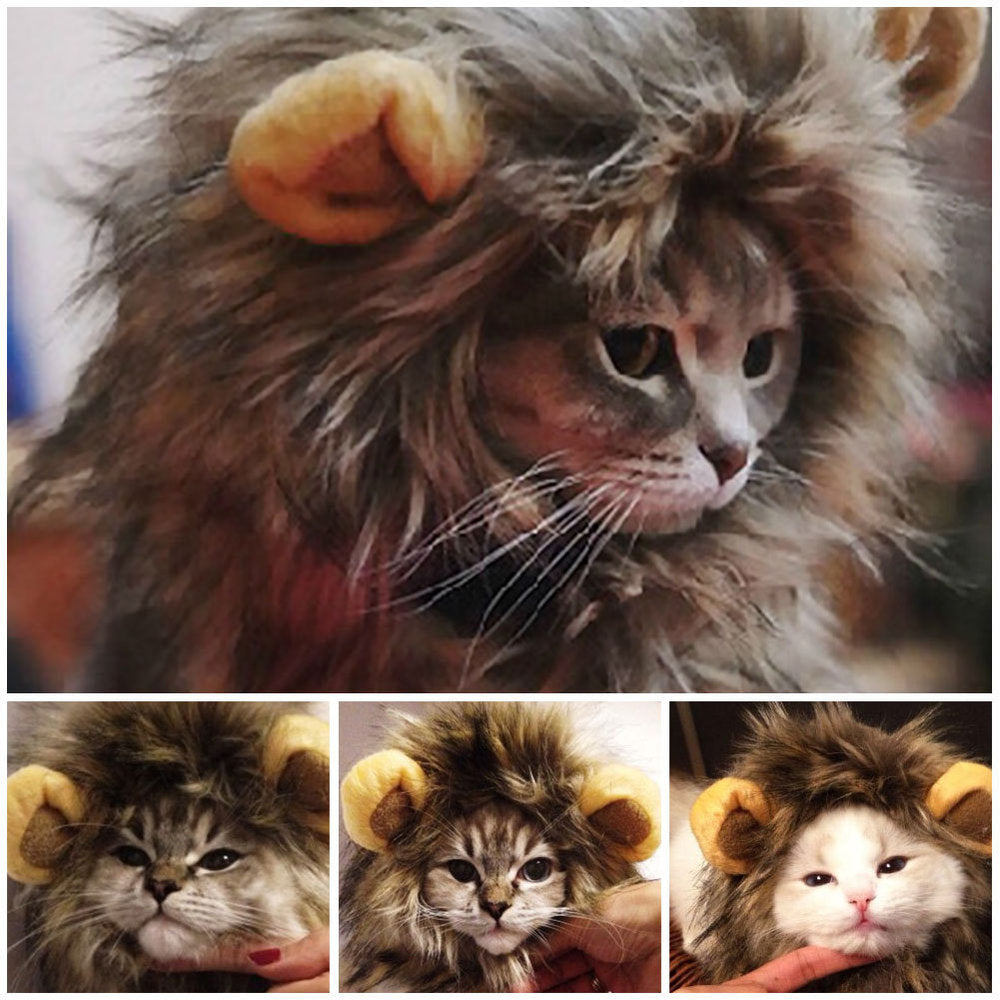 Cute Lion Mane Cat Wig Hat for Dogs and Cat Small Dog
