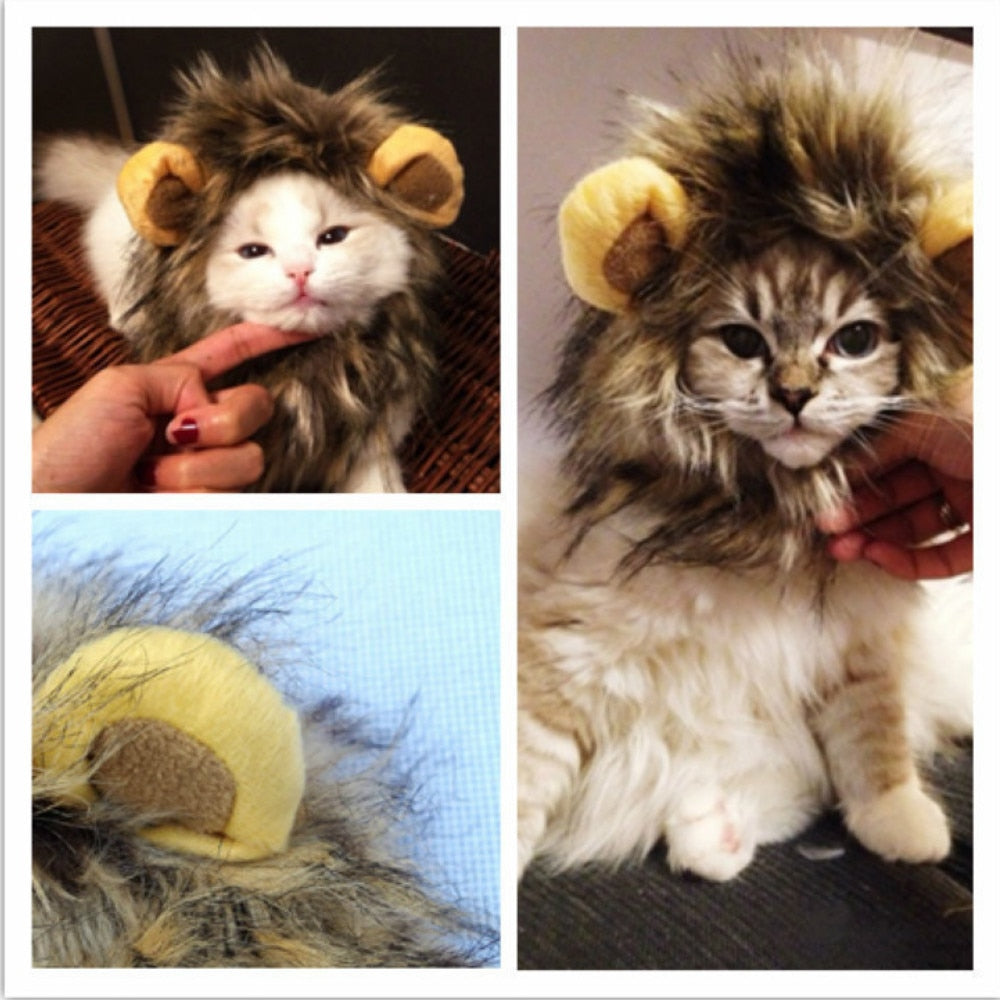 Cute Lion Mane Cat Wig Hat for Dogs and Cat Small Dog