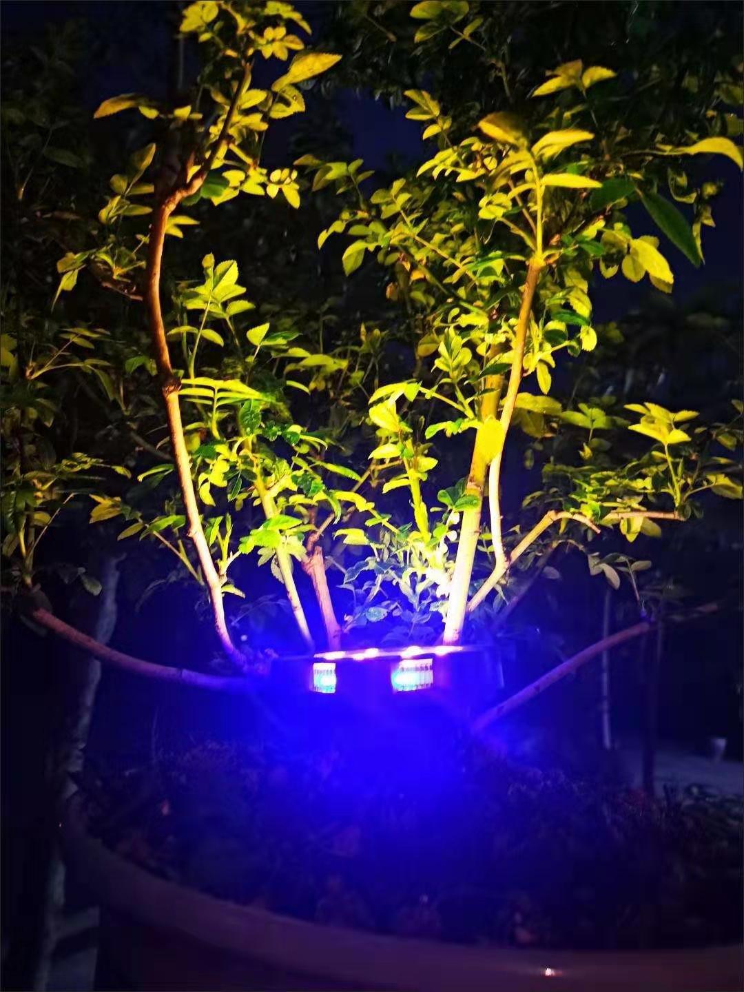 New outdoor solar floor lamp 8LED